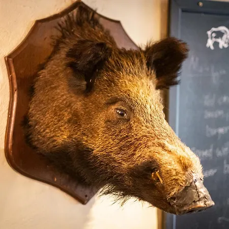 Wild Boar Estate