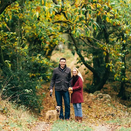 Wild Boar Estate Penzion