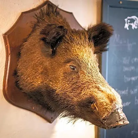 Wild Boar Estate Estalagem Bowness-on-Windermere