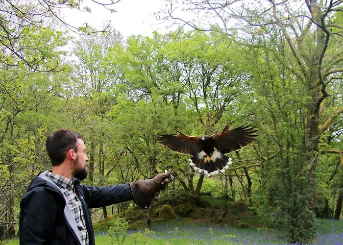 Wild Boar Estate 4* Боунес-он-Уиндермер