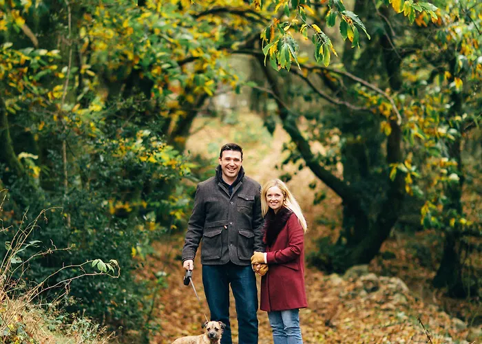 Wild Boar Estate Мини-отель