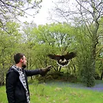 Wild Boar Estate 4* Bowness-on-Windermere