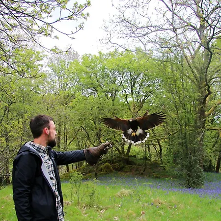 Wild Boar Estate 4* Bowness-on-Windermere