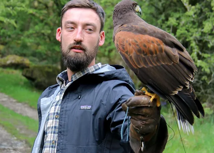 Wild Boar Estate Inn 4*