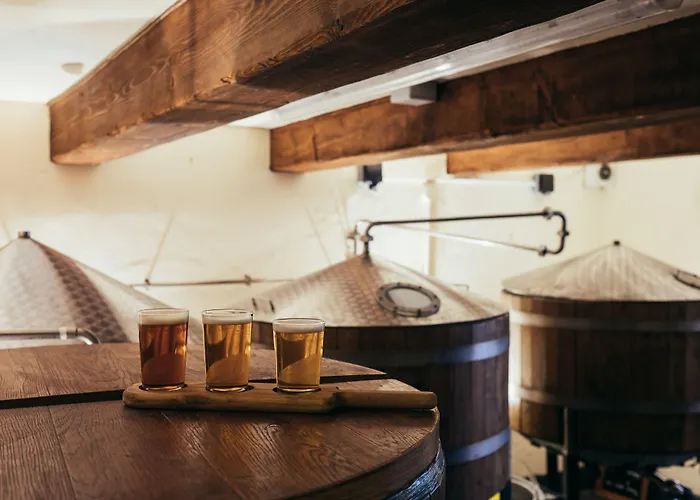 Inn Wild Boar Estate 4*