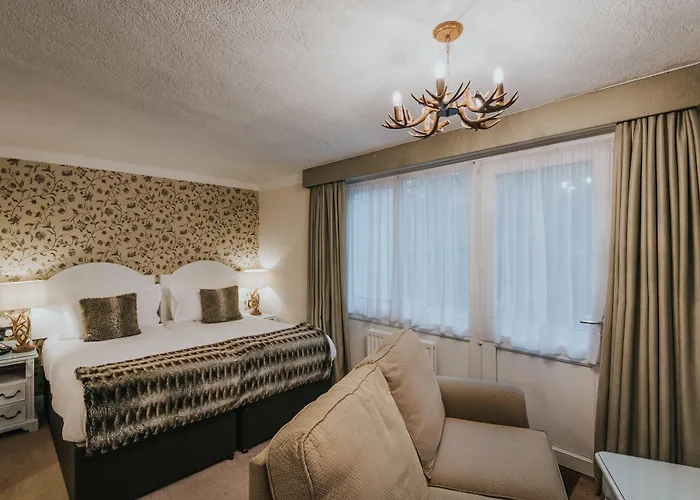 Inn Wild Boar Estate 4*